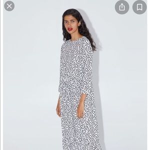 Zara iconic spotty dress